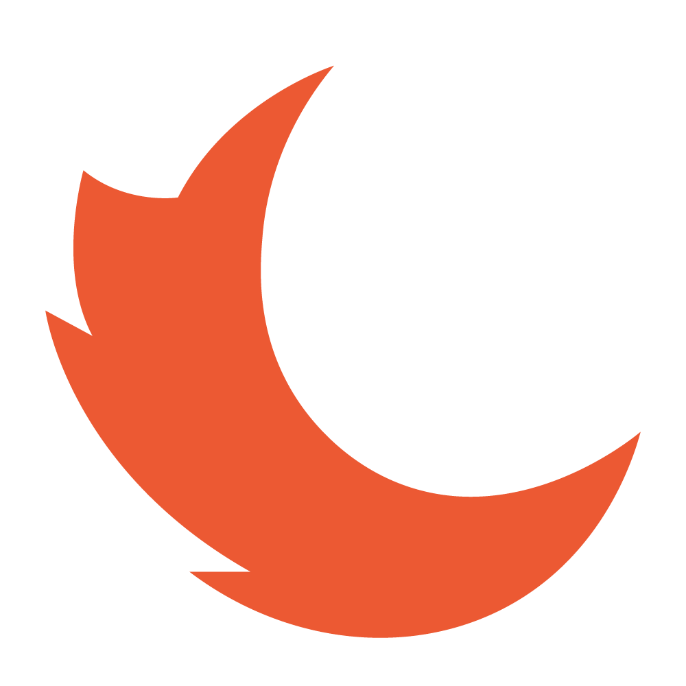CraftRise