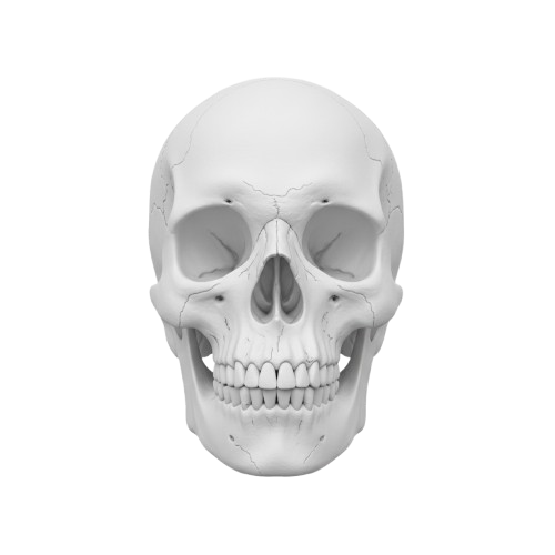 Proje 4